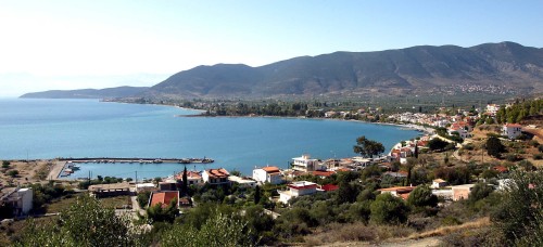 Erateini